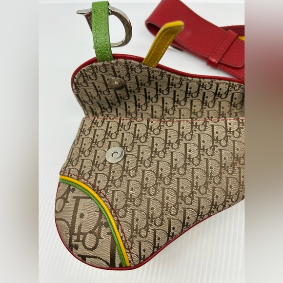 Dior Rasta Trodder Saddle Belt Bag - Picture 5 of 10